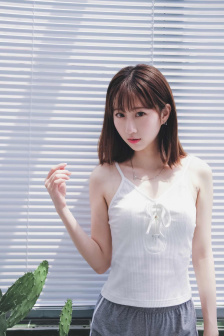 消失的大象
